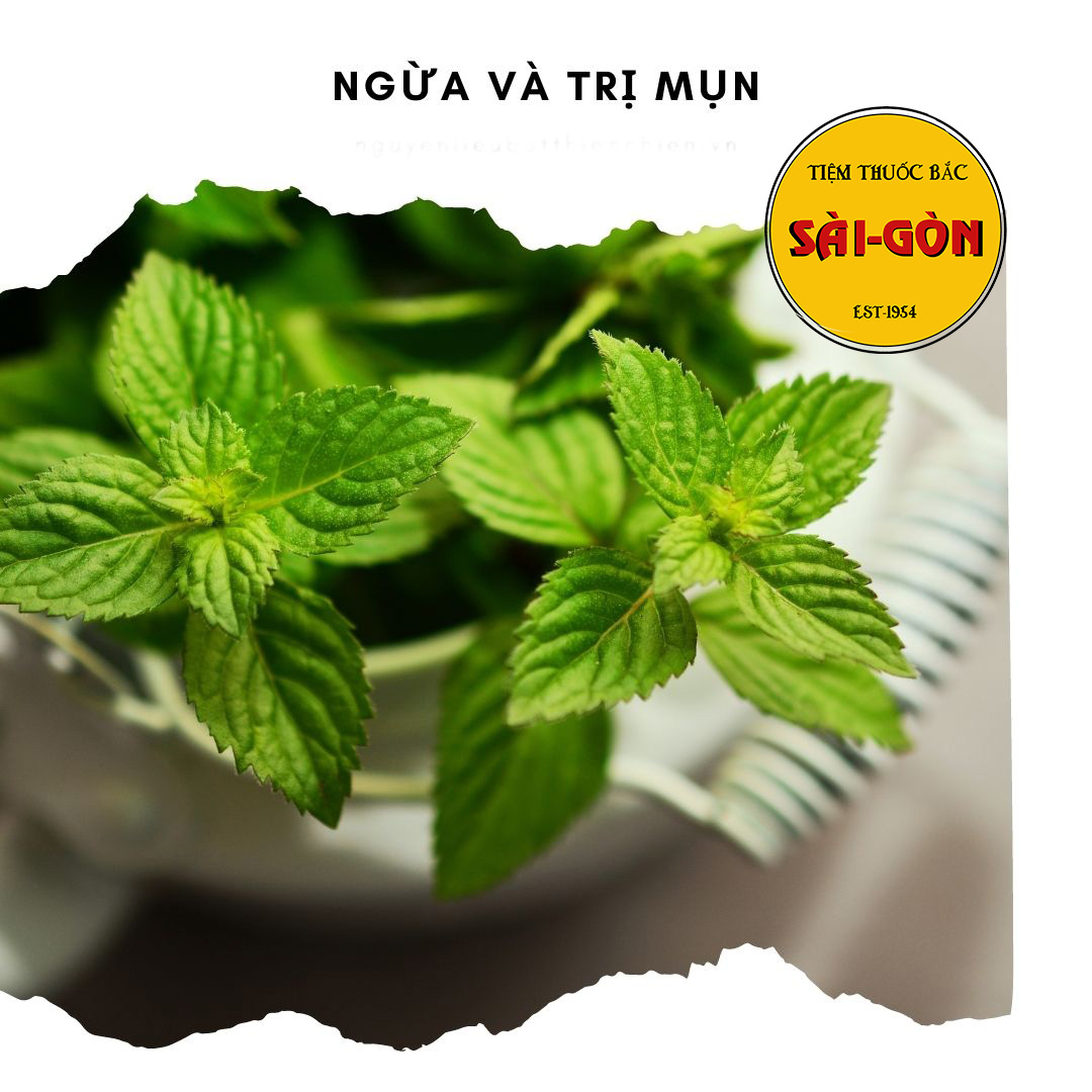 Bột Lá Bạc Hà Nguyên Chất 100g