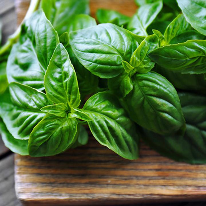 Basil Oil 30ml Julyhouse