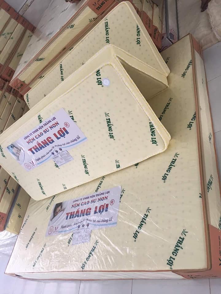 NỆM CAO SU NON THẮNG LỢI GẤP 3 Hàng Loại 1 Chính Hãng Cao Cấp [ĐỦ SIZE]