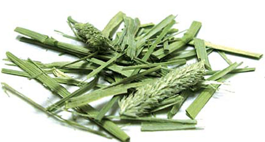 Cỏ Timothy Cho Thỏ 500g