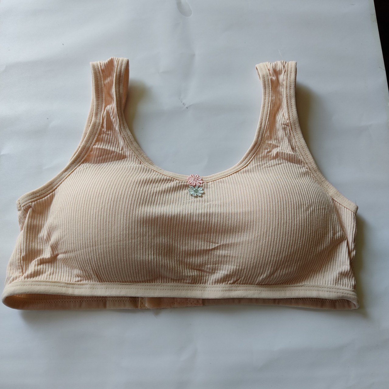 Lẻ 1 áo lót học sinh cấp 2 chất cotton mềm mát có mút mỏng 6020