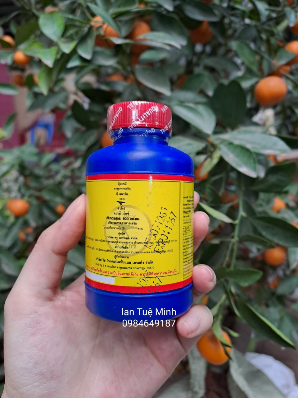 B1 Thái 100ml
