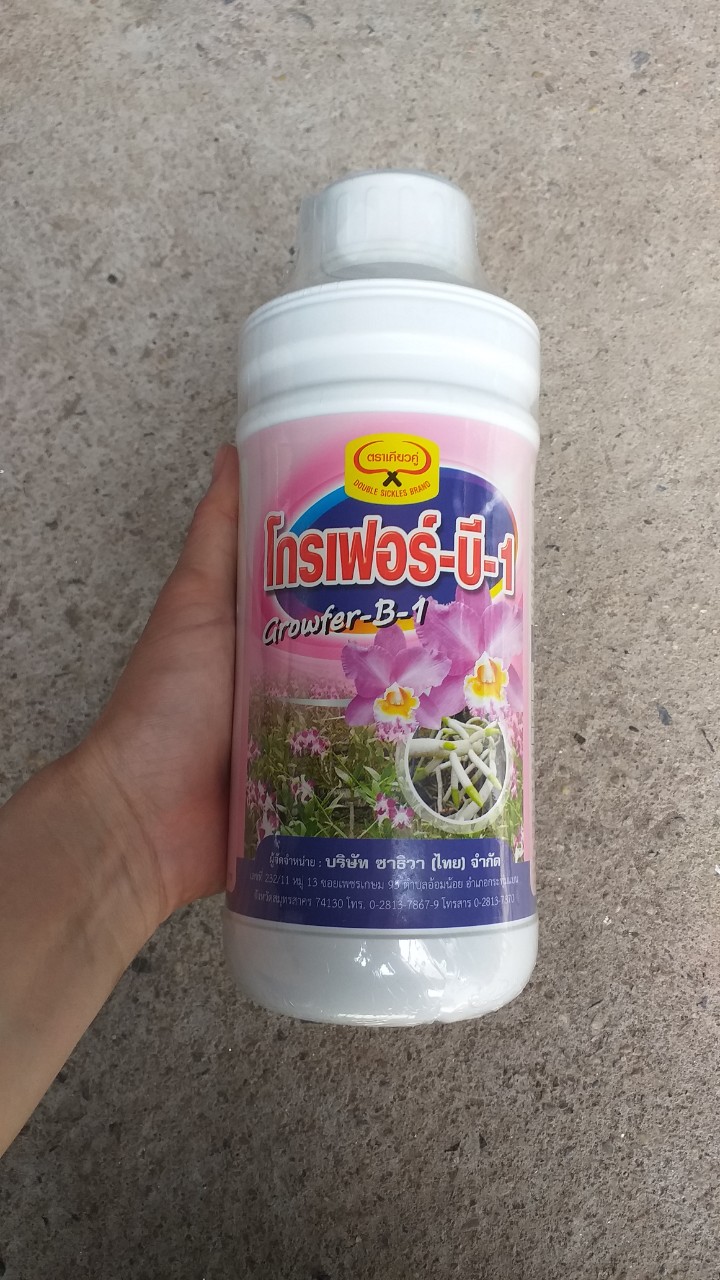 Phân bón lá B1 Thái Lan Grofer B1 Thái Trắng chai 100ml, 500ml, 1 lít