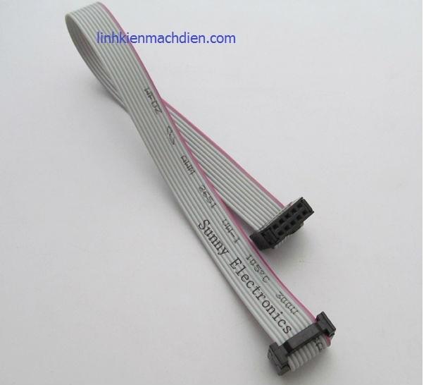 [HCM]Dây Cable FC10P 20cm