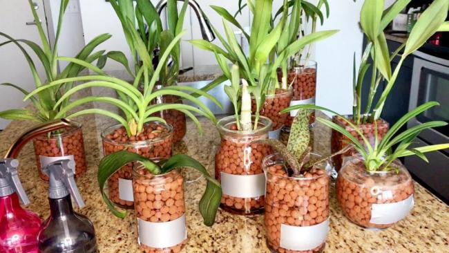 (200g)Hạt đất nung keramzit siêu nhẹ trồng cây - hạt lớn 2-5 mm (HÀNG THÁI LAN)
