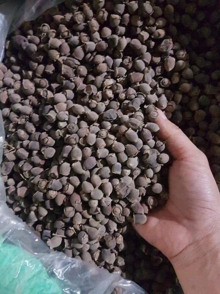 [HCM]Quả sim tím ( khô 1kg)