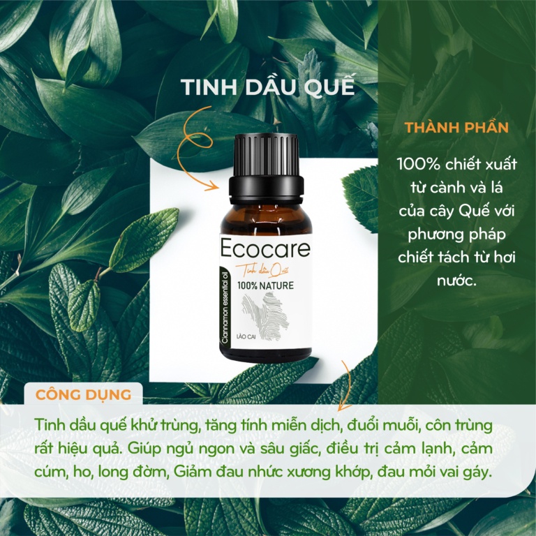 Tinh dầu vỏ quế 10ml ECOCARE, mã TDE977_QUE