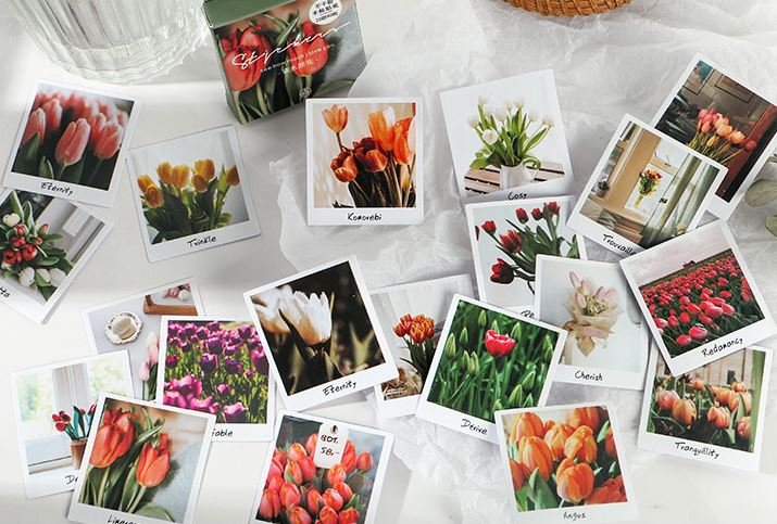 Bộ 40 Sticker Hisome E105