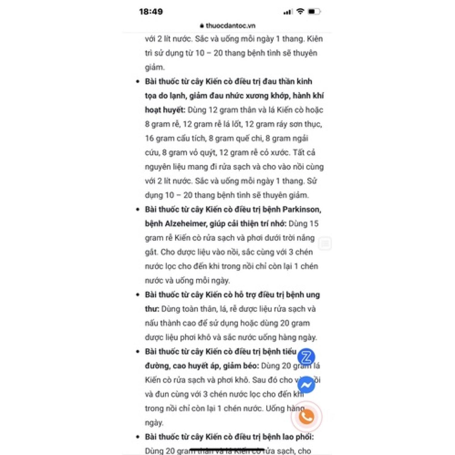 Cây kiến cò/ bạch hạt