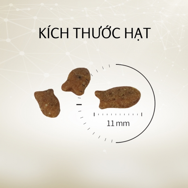 Hạt Cho Mèo Mọi Lứa Tuổi Cat's eye Premium (Hàn Quốc) - [Nông Trại Thú Cưng]