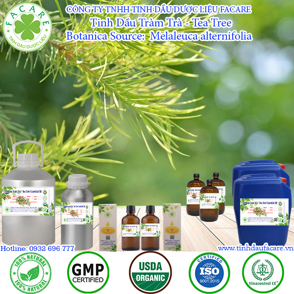 Tinh dầu Tràm Trà Tea tree essential oil - 10ml