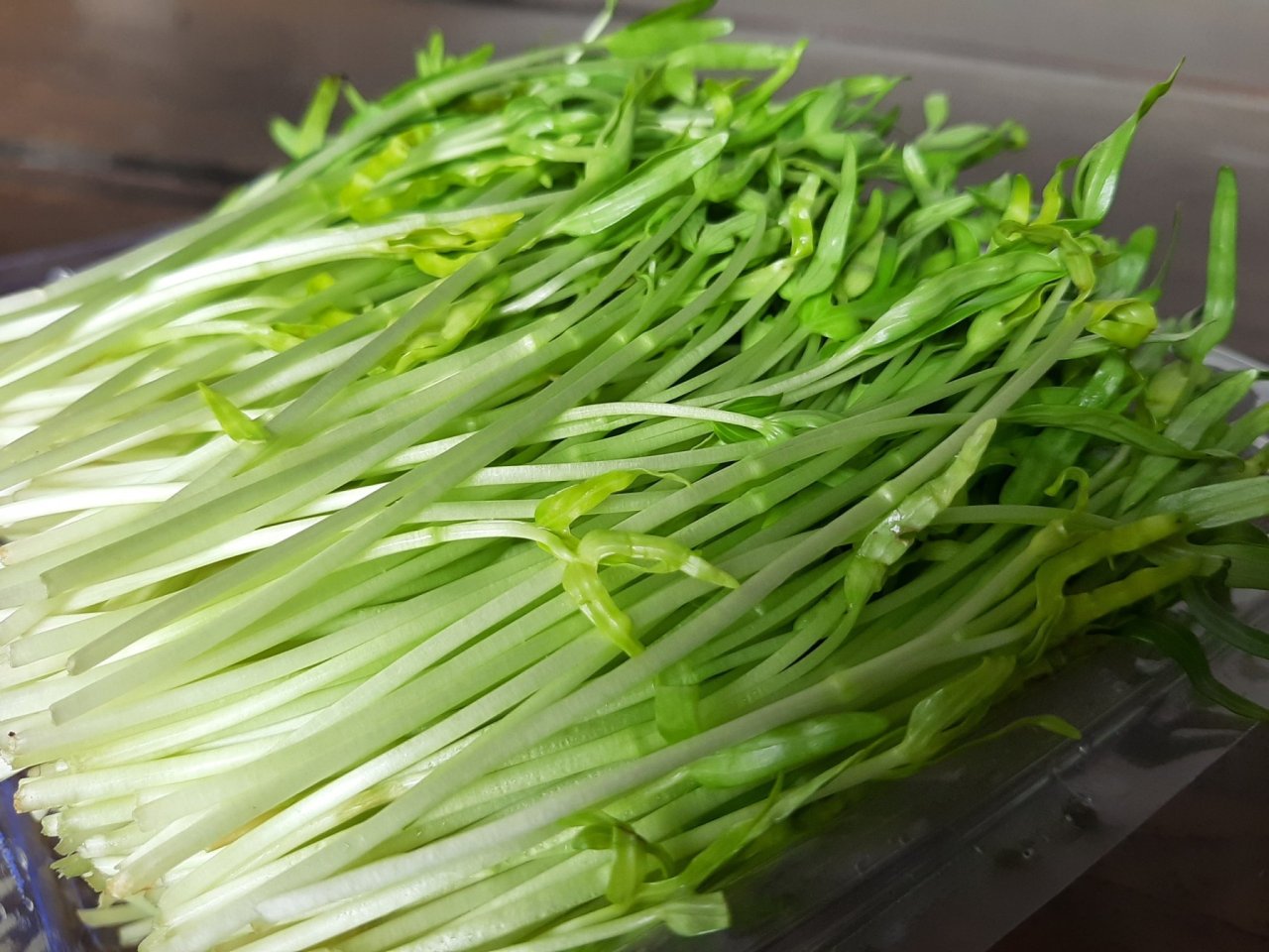 Hạt Giống Mầm Rau Muống (50 Gam)