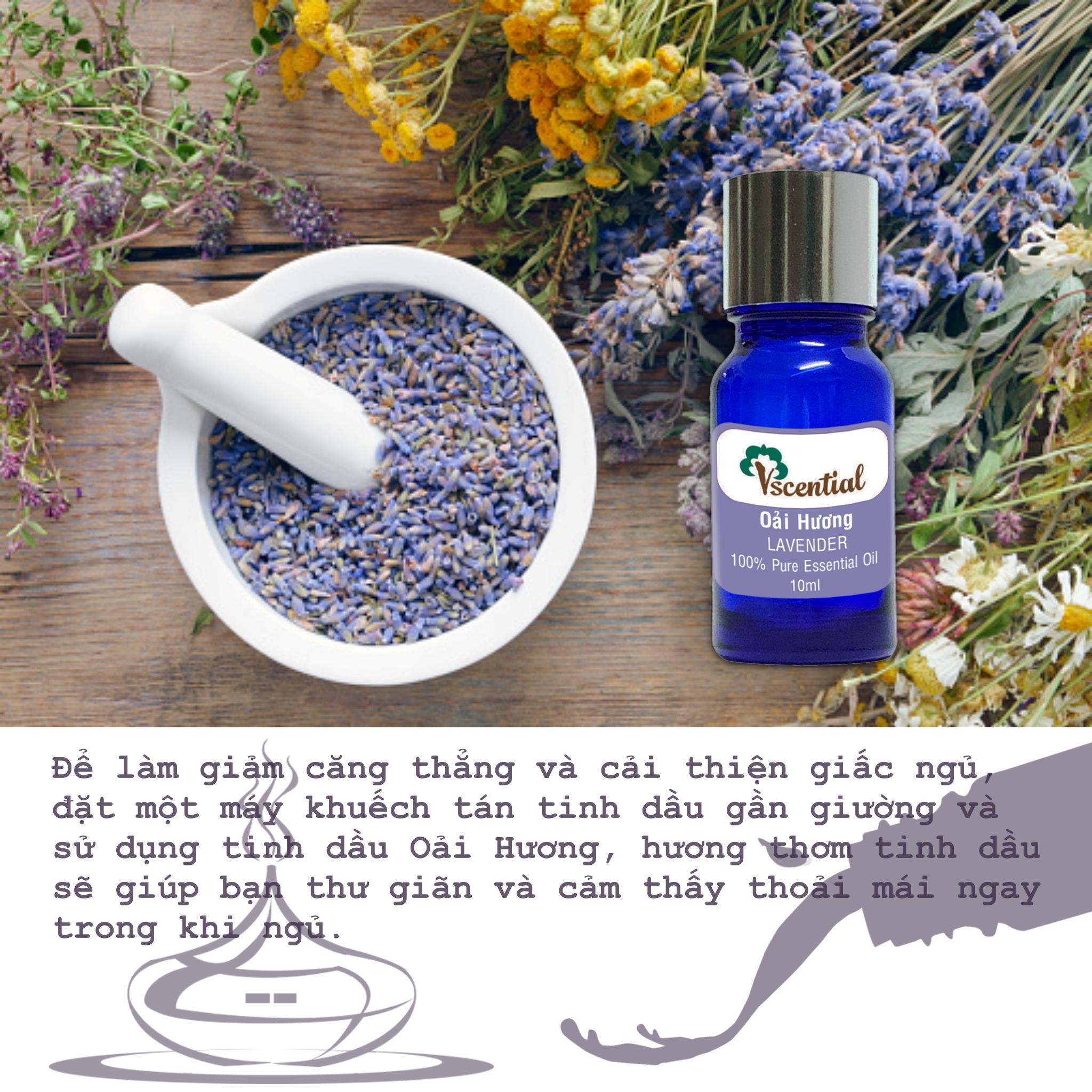 Vscential Tinh Dầu Oải Hương 10ml