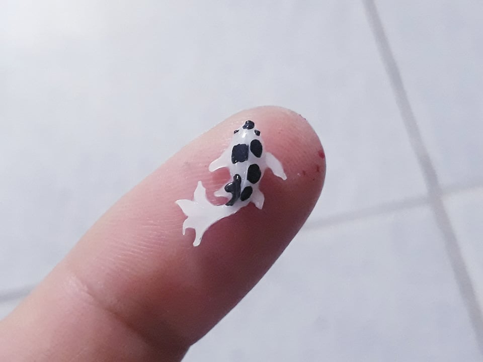 [HCM]Phôi cá koi trang trí móng keycap các sản phẩm thủ công.