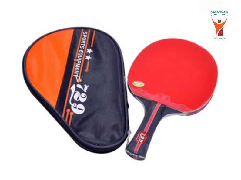Vợt bóng bàn 729 1060