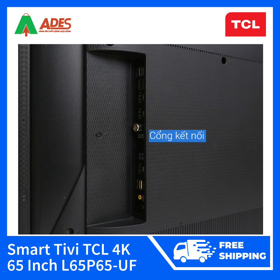 Smart Tivi TCL 4K 65 Inch L65P65-UF