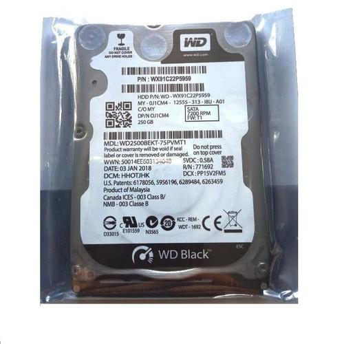 [HCM]Ổ Cứng HDD Laptop 250GB - Bảo hành 12 tháng