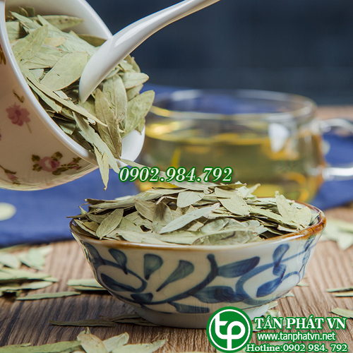 Phan tả diệp 1kg loại sấy khô - Hỗ trợ tốt cho hệ tiêu hóa - Hàng sạch xanh chất lượng cao - Thảo Dược Tấn Phát