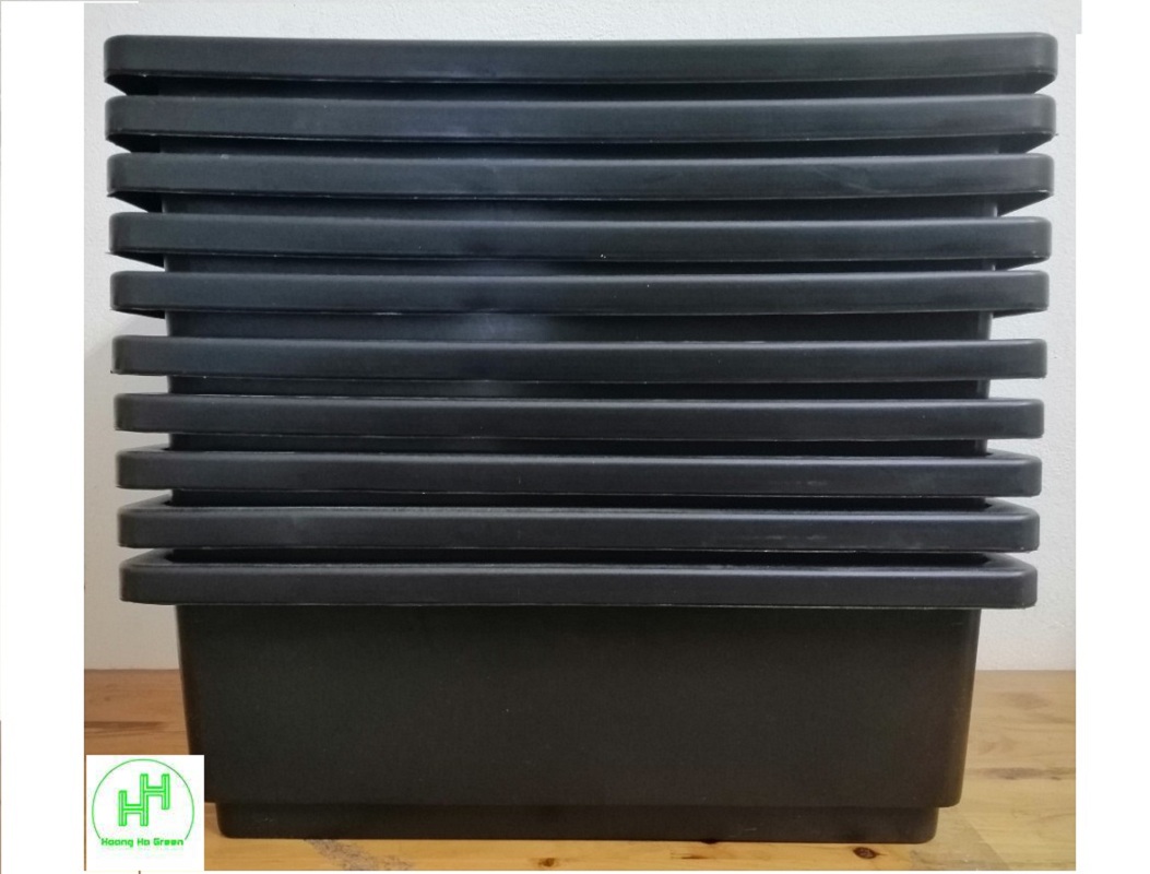 10 Khay Nhựa Trồng Rau Kích Thước 47X33X16CM - Màu Đen