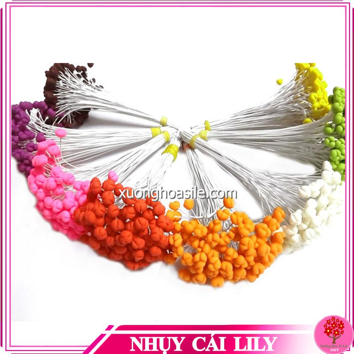 Nhụy hoa ly