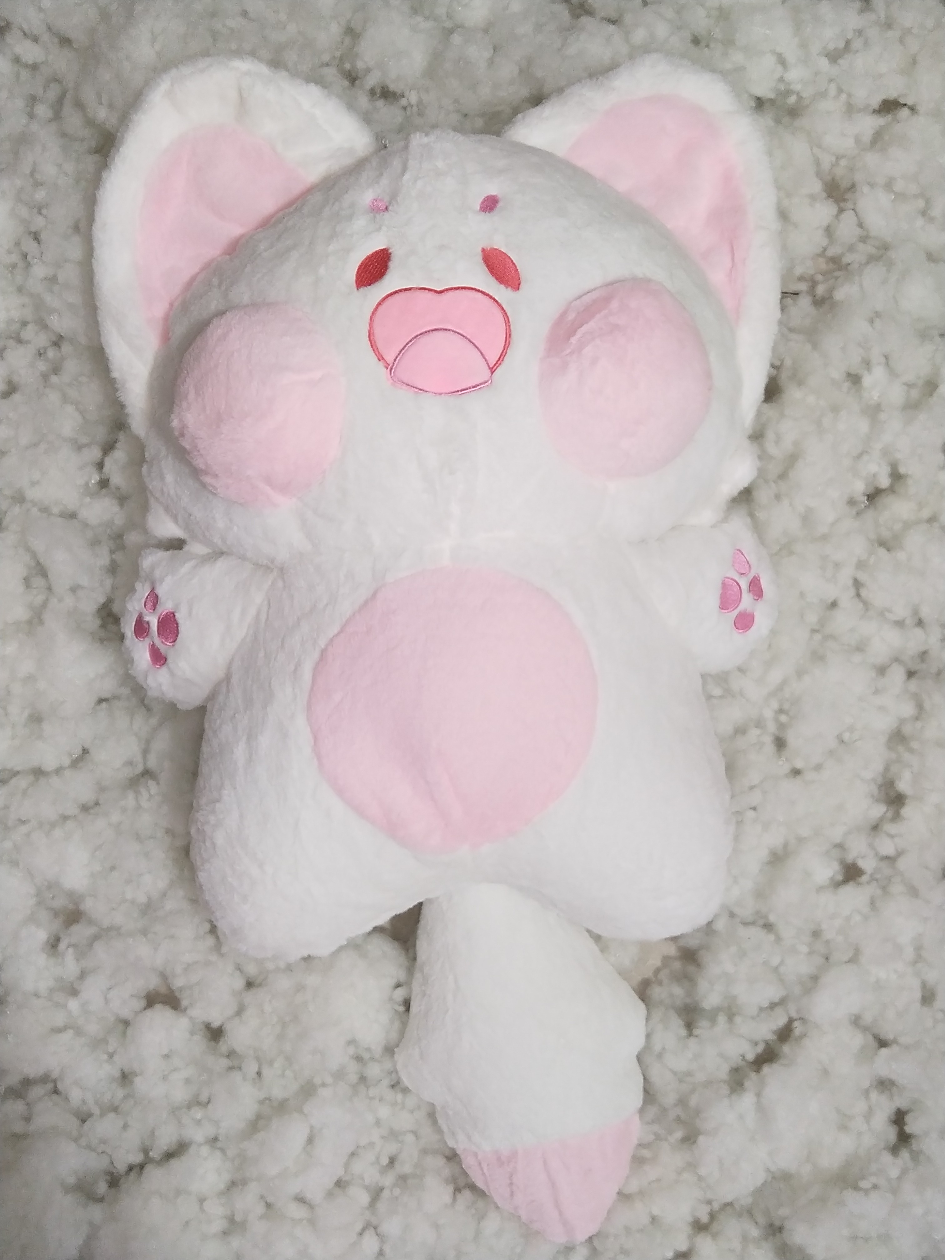 Mèo DuDu Mèo Doodle Siêu Dễ Thương