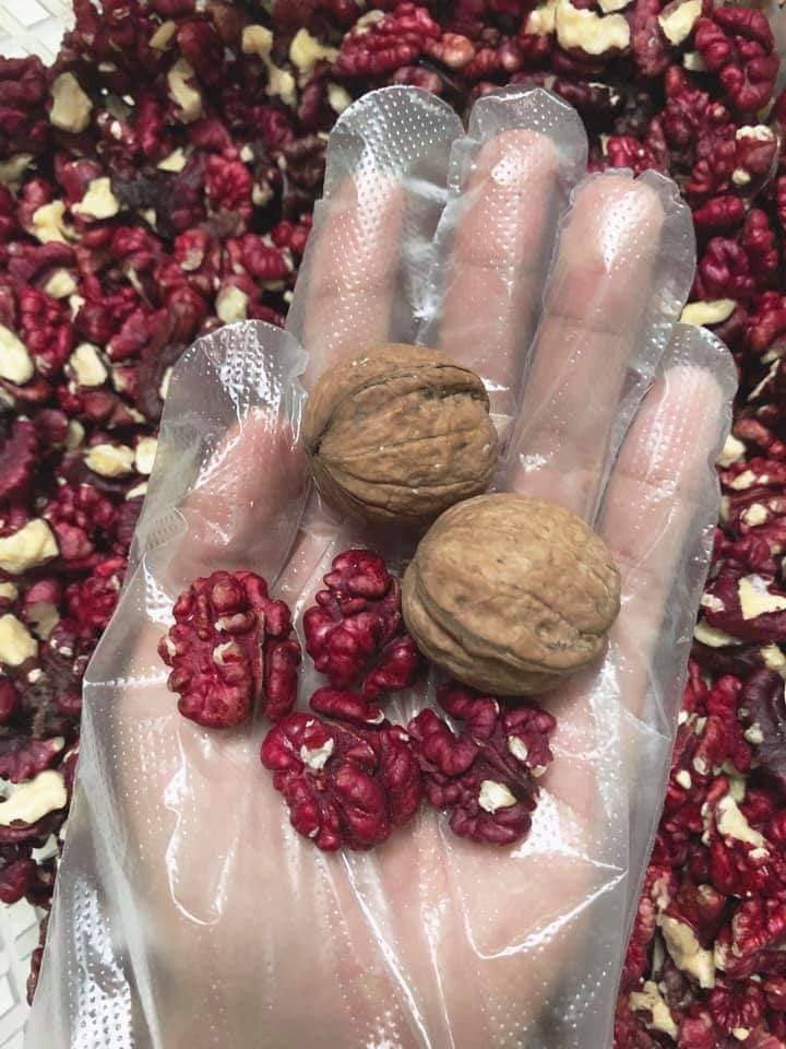 [HCM]ÓC CHÓ NHÂN ĐỎ (đã bóc vỏ) (500gr)