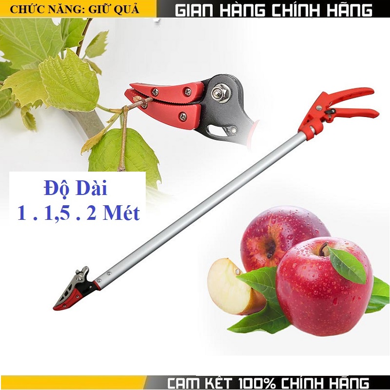 Kéo cắt cành hái quả