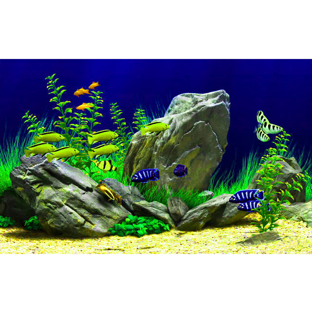 Tranh 3d dán hồ cá cao cấp, decal lụa có keo sẵn, đa dạng kích thước