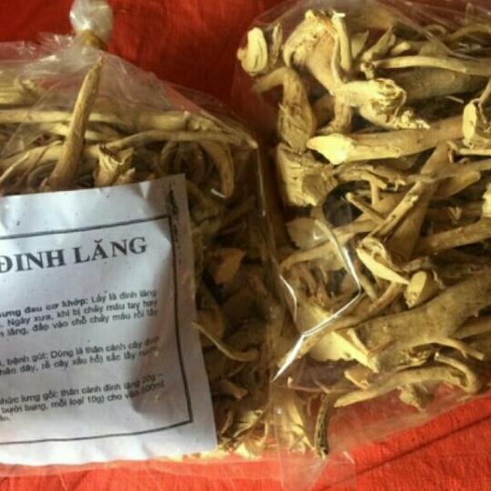 Sỉ 1kg rễ đinh lăng khô