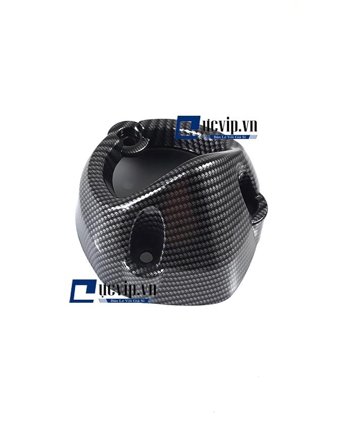 Chụp Đích Pô Carbon Exciter 150 MS1485