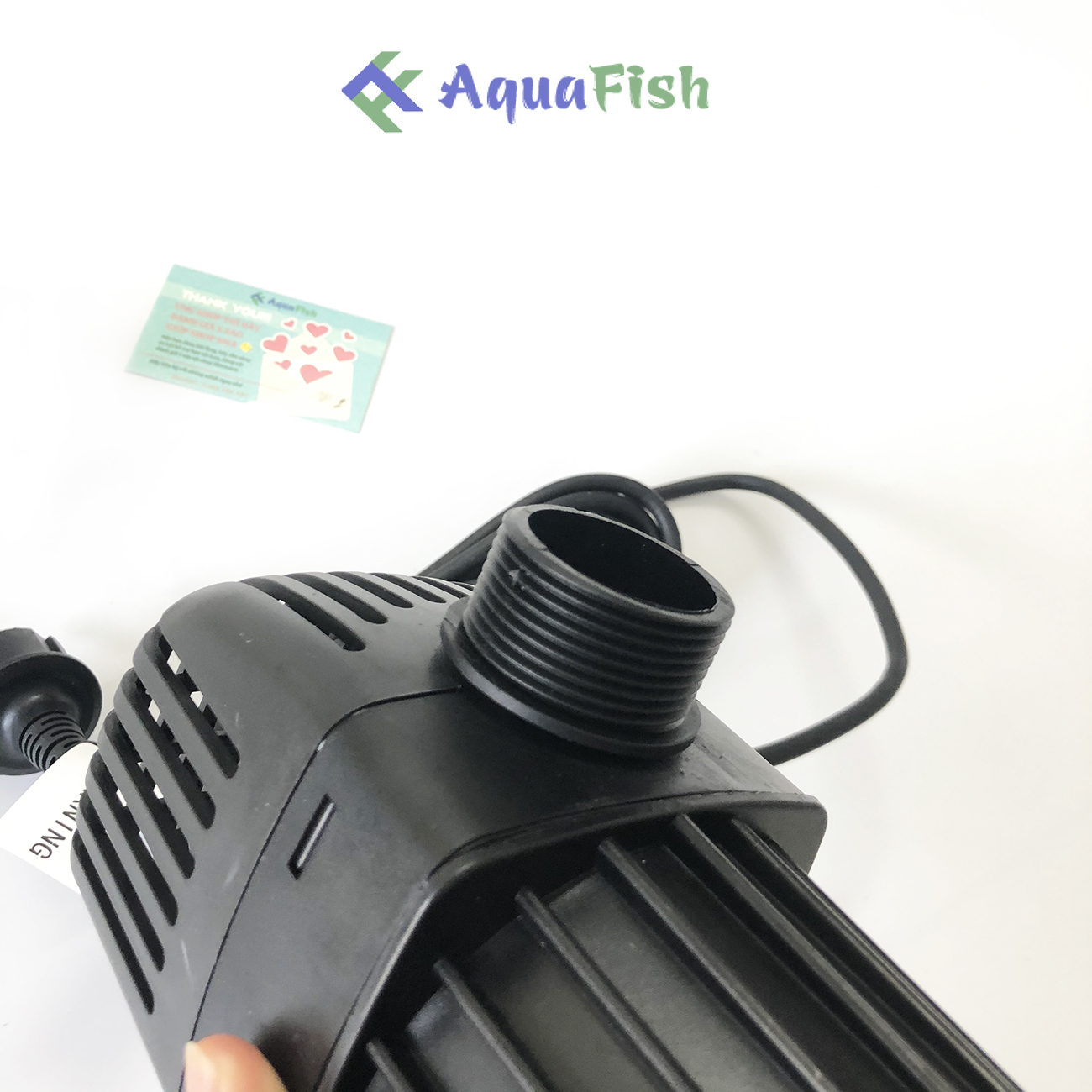 Máy Bơm Chìm Hồ Cá Koi Jebao TM 3500 - 10000 (máy bơm nước hồ cá Koi chuyên dụng)