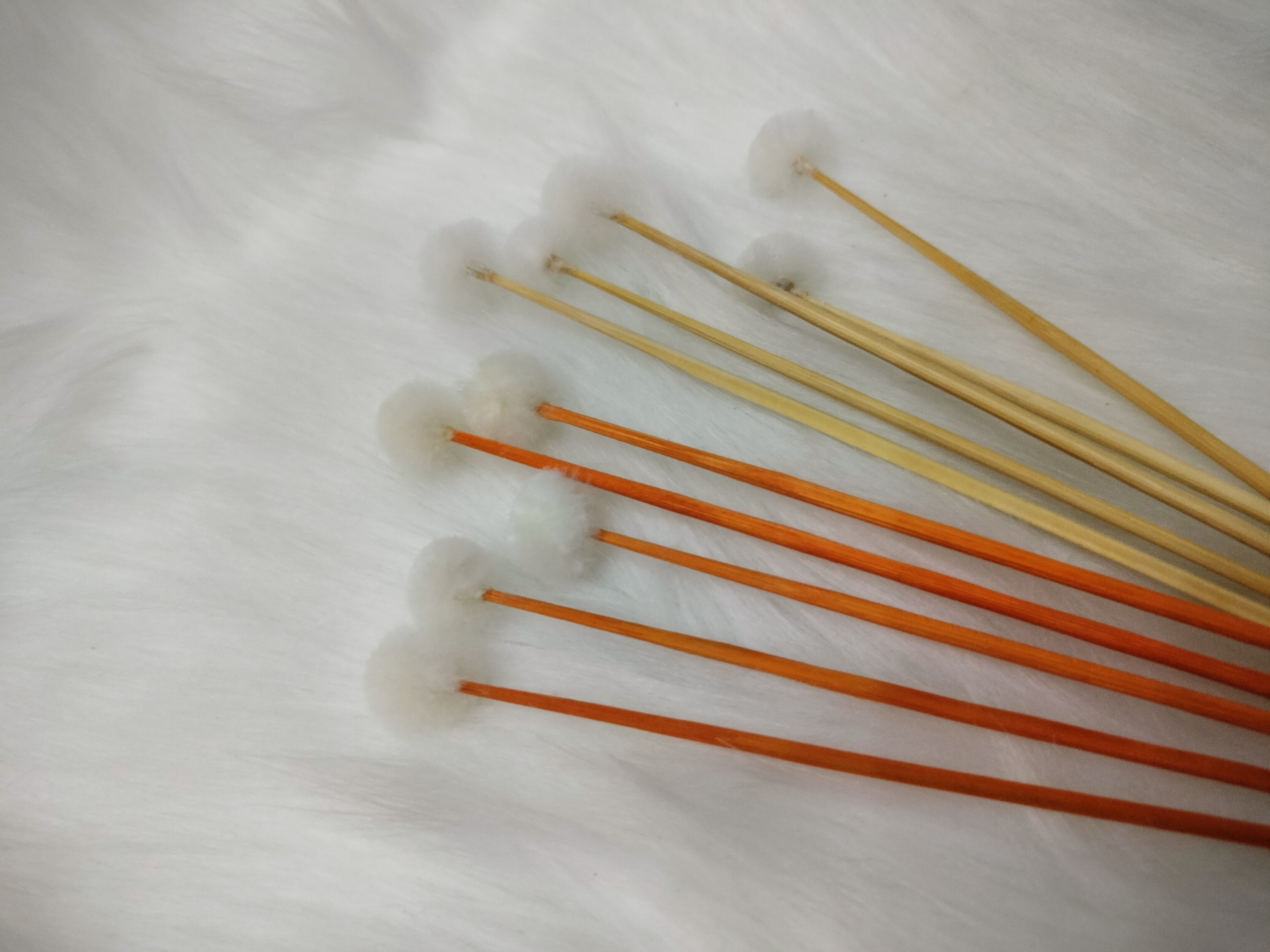 10 Bông tăm lông vịt se lỗ tai