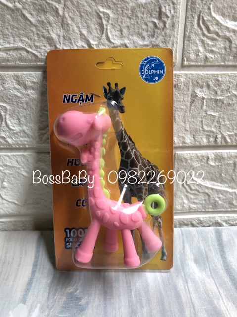 Ngặm Nướu Hươu Cao Cổ Dolphin