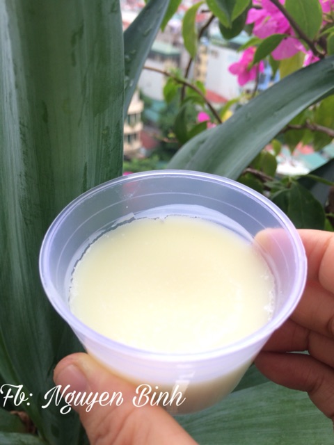 Phôi Làm Son Sáp Lì Handmade (50g)