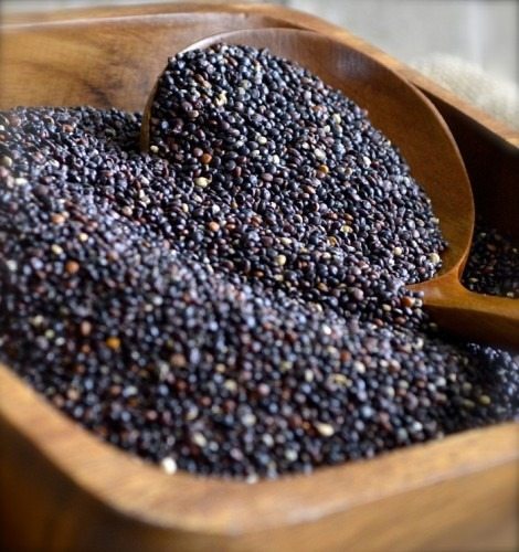 Hạt quinoa đen chất lượng
