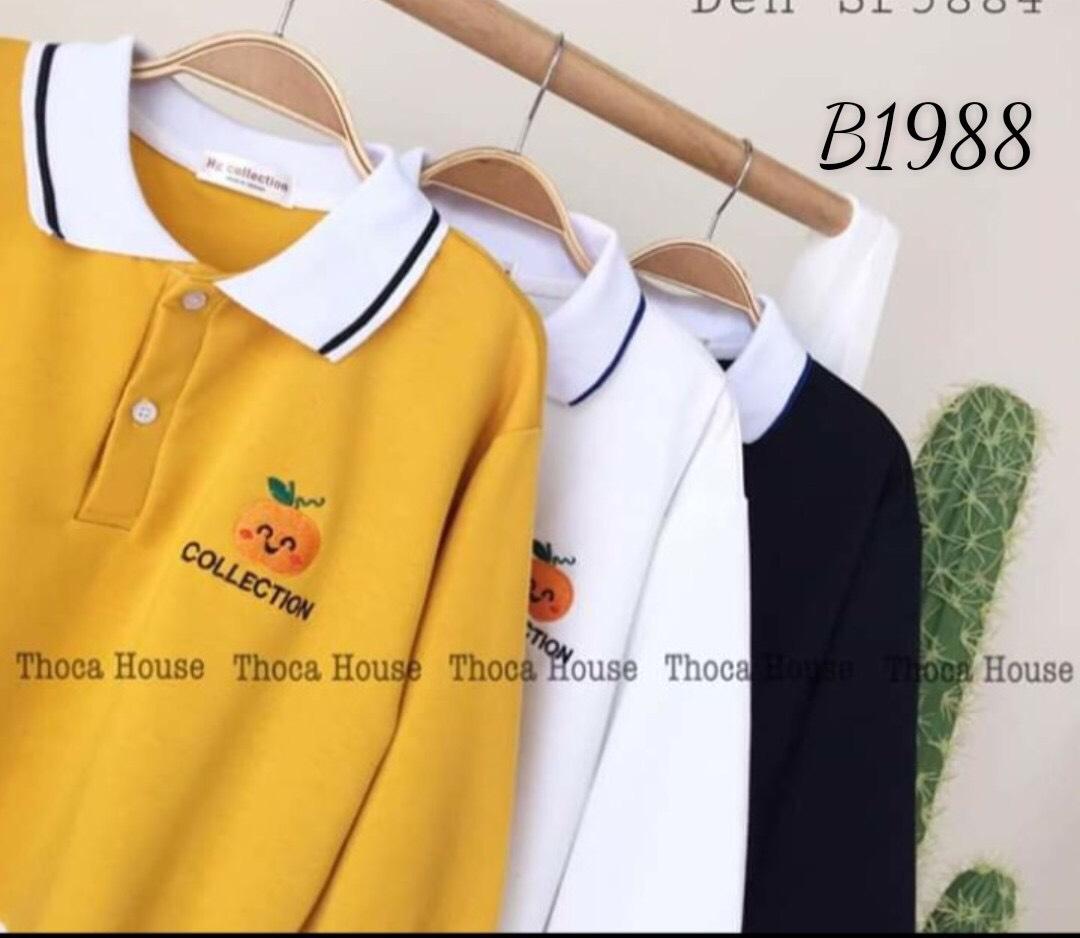 Áo Thun Có Cổ Croptop COLLECTION Hàn Quốc Đáng Yêu TTS0397