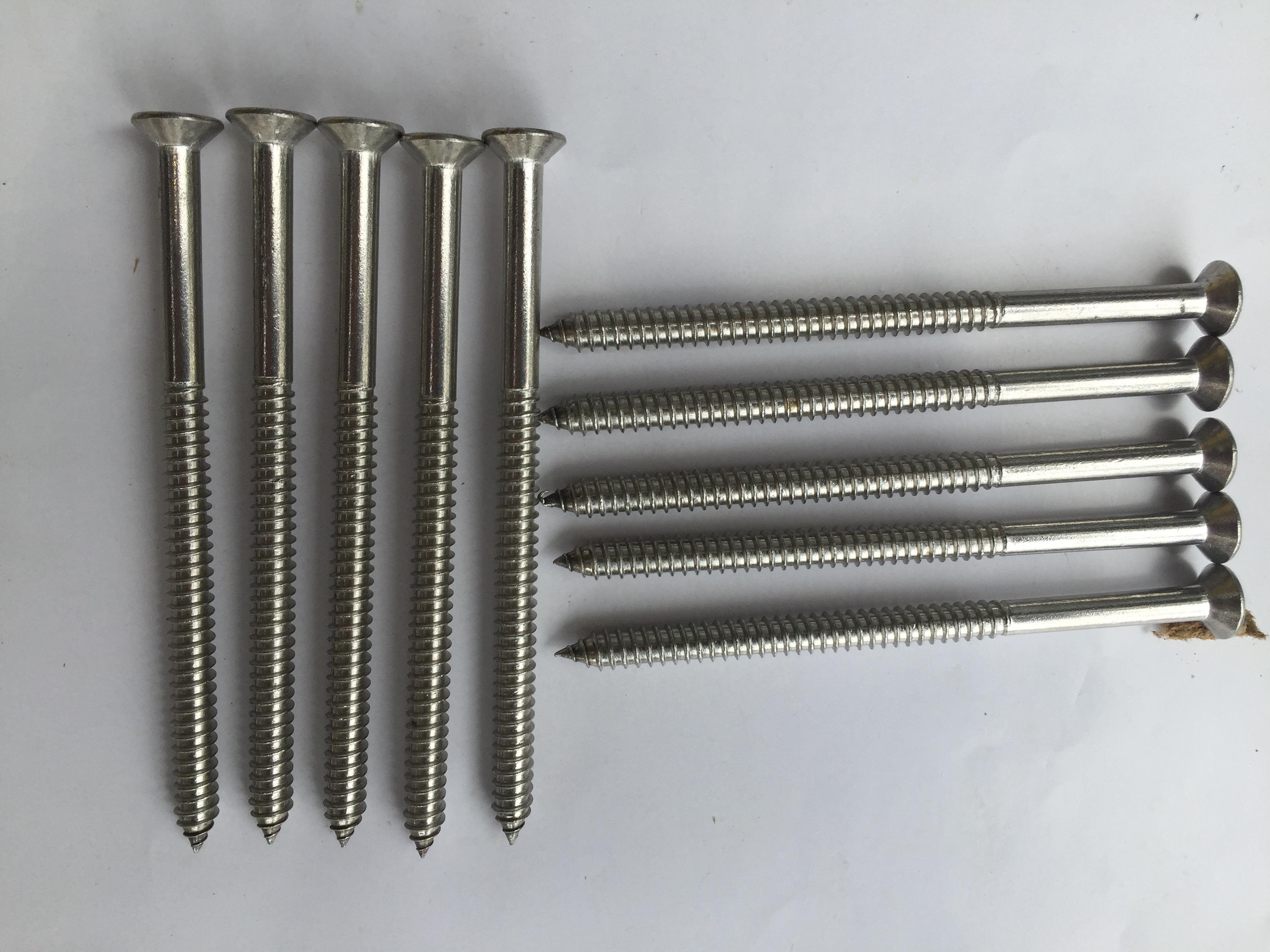 50 chiếc vít inox 304 phi 6 dài 10cm