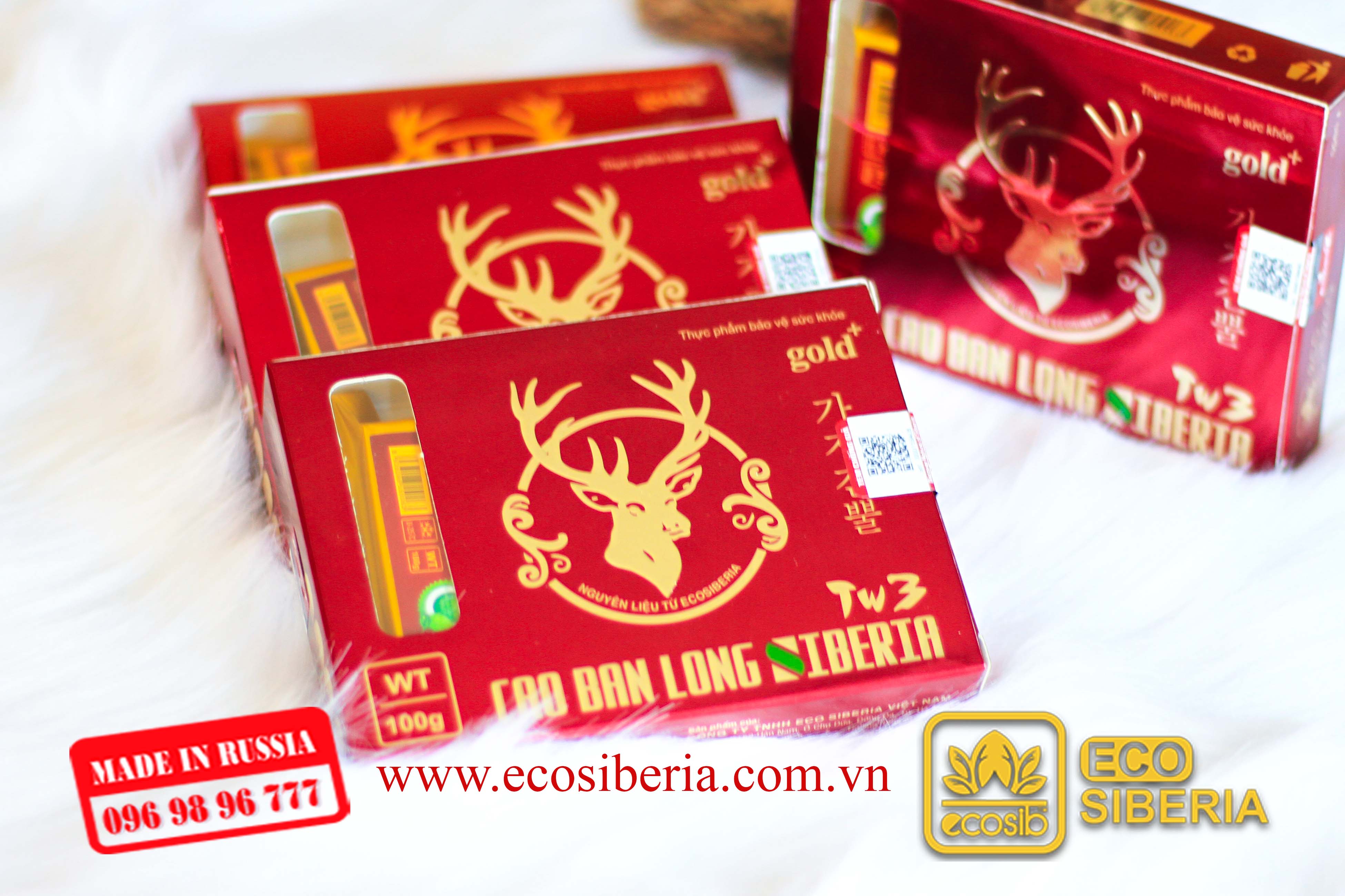 CAO BAN LONG SIBERIA - TW3