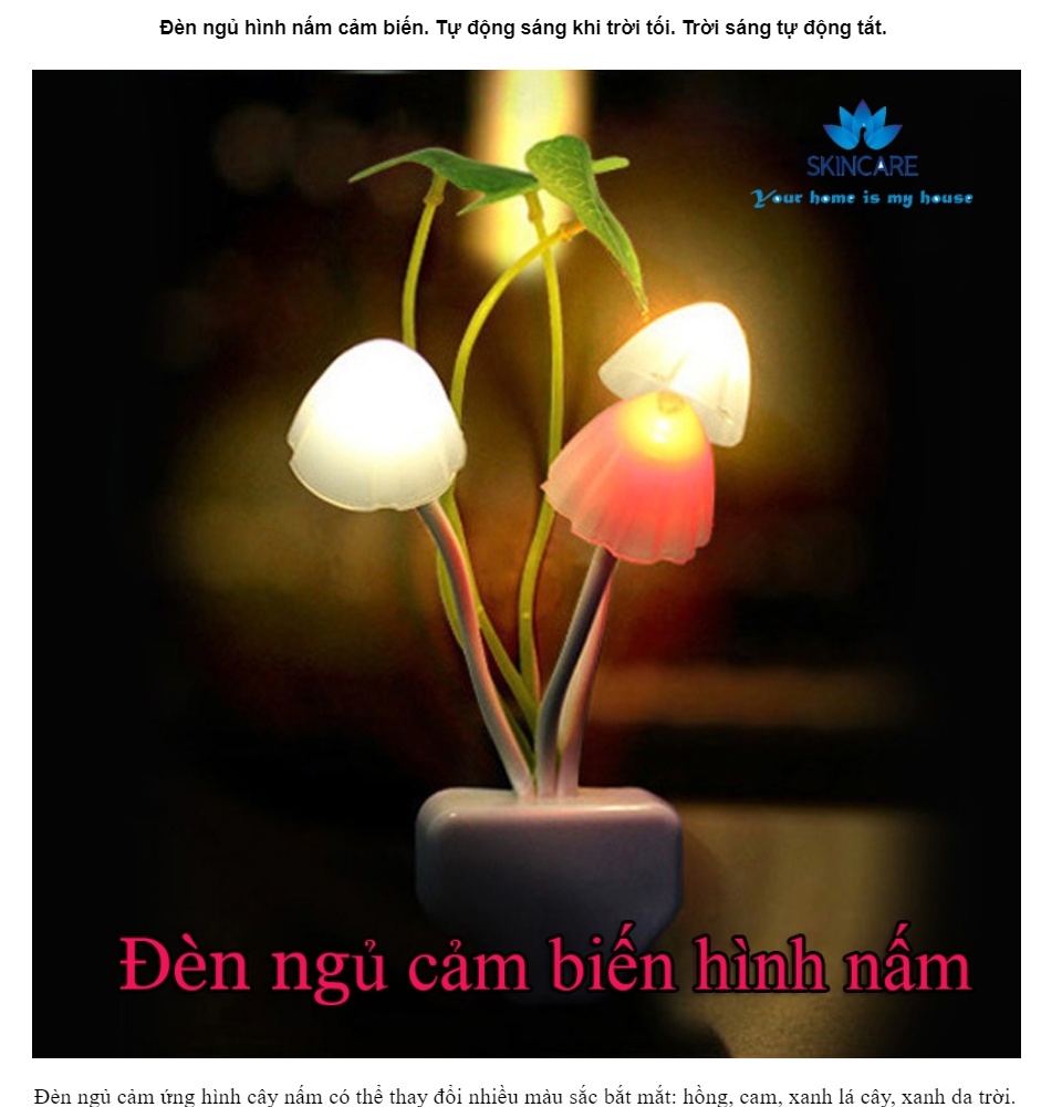 Đèn ngủ cảm ứng cao cấp hình nấm,Đèn Ngủ An Toàn,Shop đèn ngủ TPHCM Mua đèn ngủ ở đâu mua đèn ngủ hình nấm cảm ứng sang trọng tiện lợi Bảo Hành 12 tháng