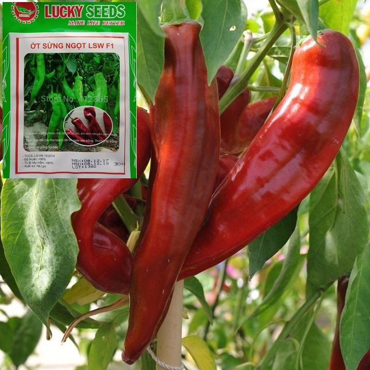 Hạt giống ớt sừng ngọt gói 10 hạt xuất xứ  Việt Nam