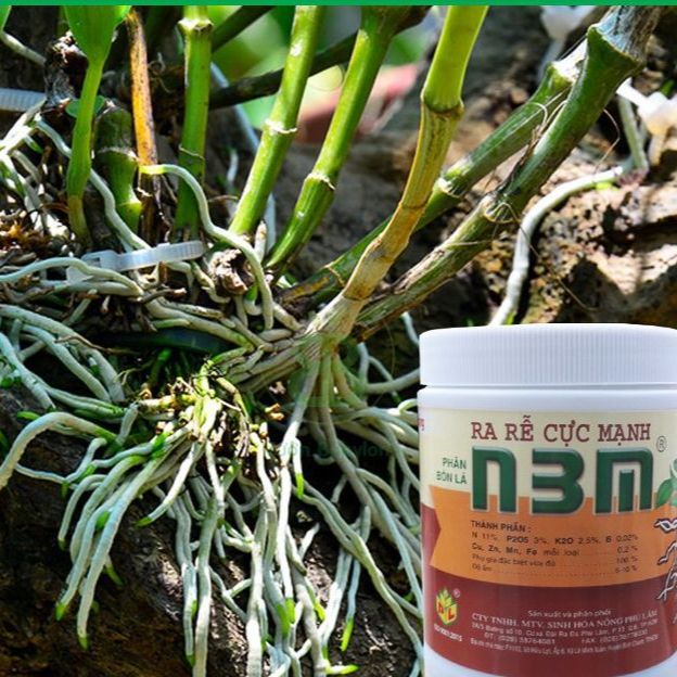 Kích thích ra rễ cực mạnh N3M 500g