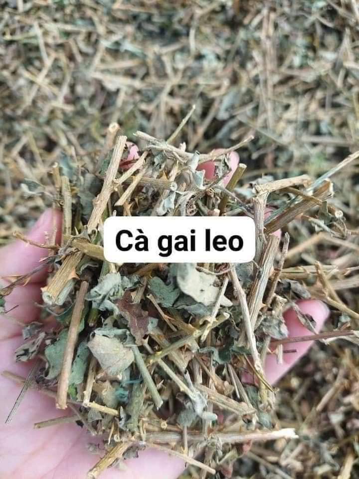 (Dược liệu khô) Cây Cà gai leo phơi khô 500g