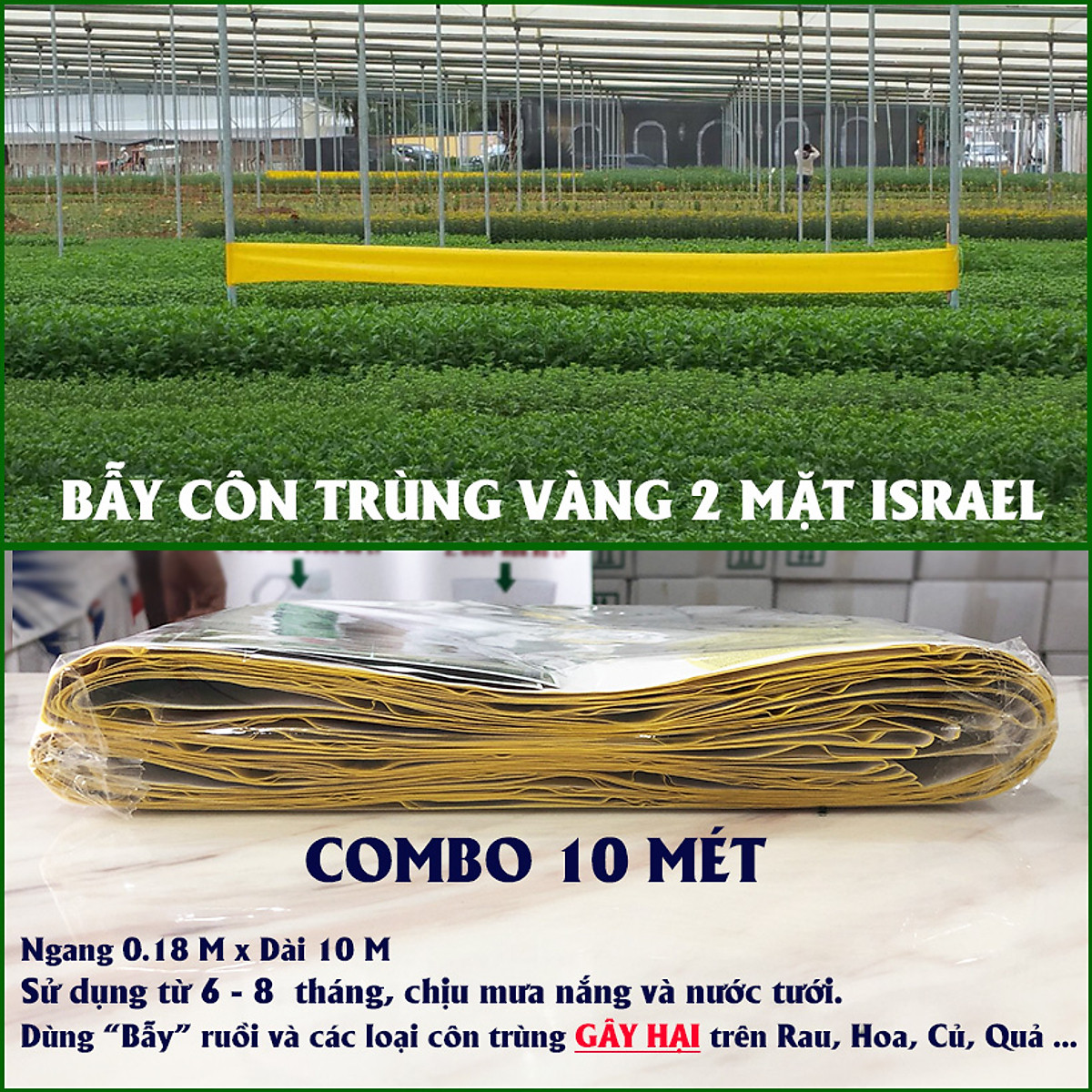 [HCM]Bẫy Ruồi Bằng Keo Dính Vàng Sinh Học Israel Cuộn 10 Mét Trải Nghiệm. Hiệu Sticky Yellow Roll là Keo Dính Vàng 2 Mặt Israel (RỘNG 18CM X DÀI 10M) Nhập Khẩu Israel
