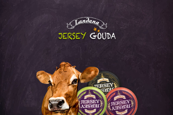 Landana Jersey Gouda Old 180g - Phô Mai Hà Lan