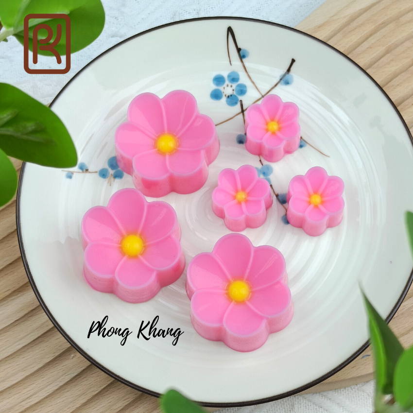 Combo 12 khuôn silicon ( 6 khuôn 5cm-6 khuôn 3cm) Phong Khang hình hoa sứ