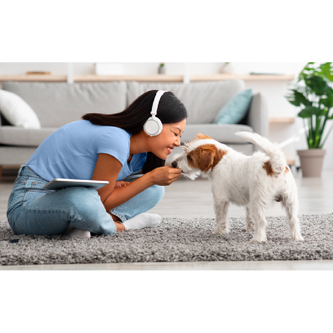 [QUÀ TẶNG KHÔNG BÁN] Đồ chơi Dây Thừng hình con Hươu