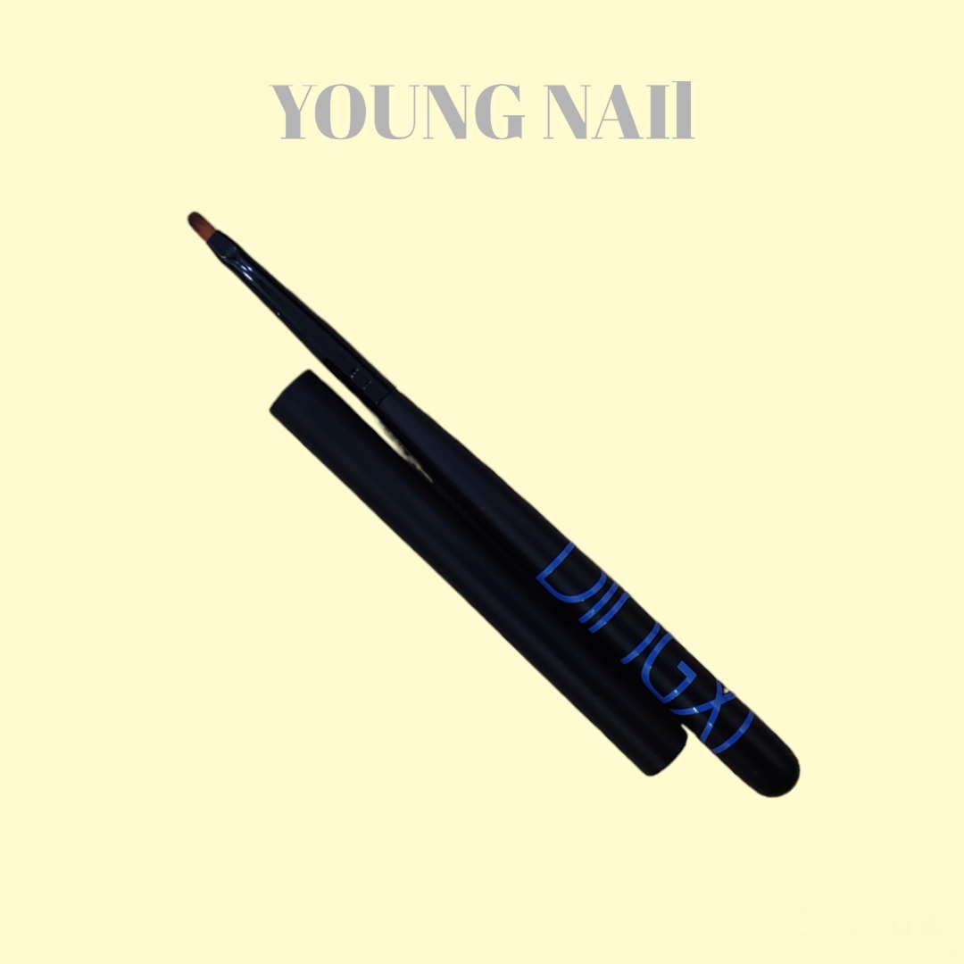 cọ vẽ hoa cúc Dingxi