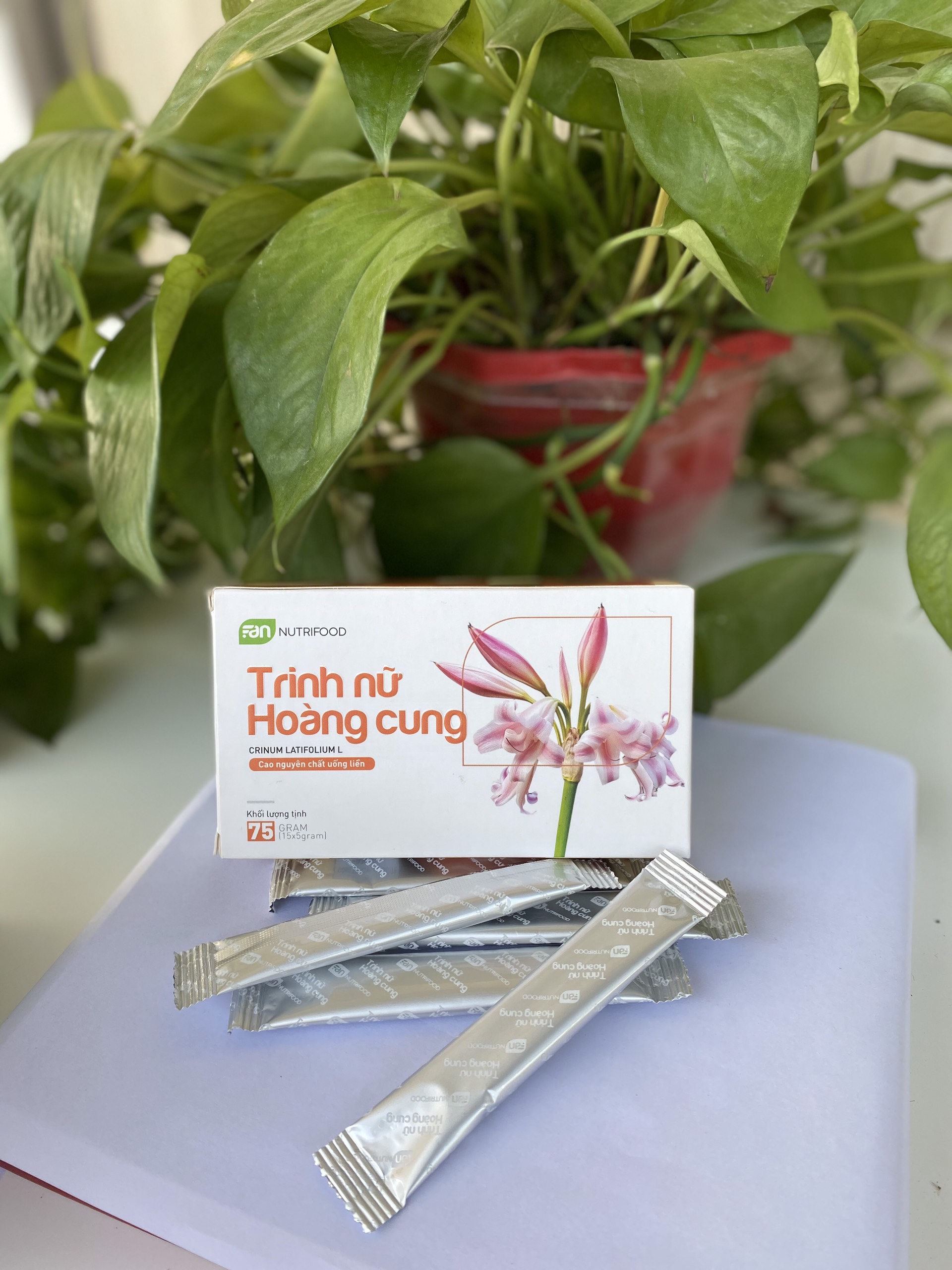 Cao Trinh Nữ Hoàng Cung