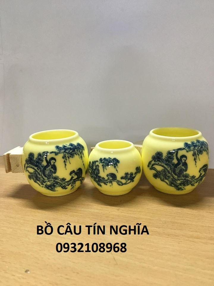 [Combo 3]Cóng Xứ Chào Mào Rẻ 05
