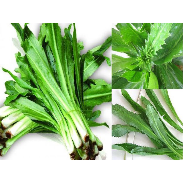 100H - #Hạt_Giống_Mùi_Tàu ( tặng kèm kích mầm và phân bón )